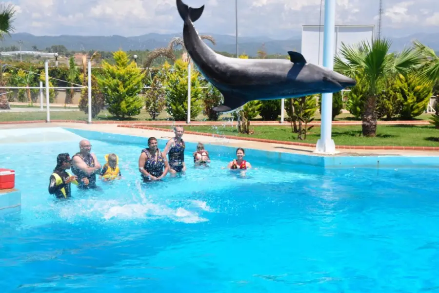 Alanya  Dolphin Show with Hotel Transfer